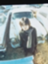 id:kitame