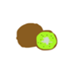 kiwi_0220