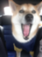 kiyomic