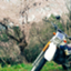 id:kiyoser