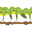 kknsd
