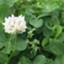 id:klt10110