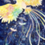id:knit_read_write