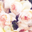 id:koikimikoi