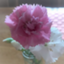 id:kokkokokkoo