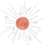 id:komekomama