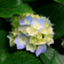 id:konnankun