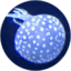 id:korikodori