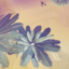id:kosodate-Flower