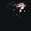 id:kosukekosuke