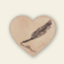 id:kotonoha_wing