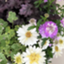 id:kotsukotsu_blog