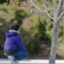 id:kou-hobbylife