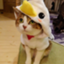 id:kou-tokiwa