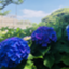 id:kozue2020