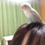 id:kuma-pote