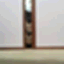 kumakoo7