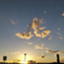 id:kuri-youkan