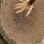 id:kusunokix