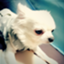 id:kuuuuchan