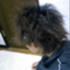 id:kyo-hph-mt120300