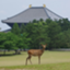 id:kyokaken-nara