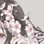 id:lazyblog