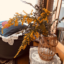 id:life-with-books-koyokoyo