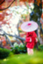 id:lilas2525