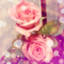 id:lily_0802