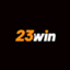 link23winjnet