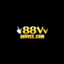 link88vveecom