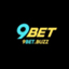 link9betbuzz