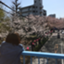 id:little_happiness