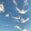 id:littlesky
