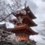 id:liveKyoto