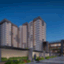 liveprestigesouthernstar