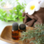 id:luculia-aroma