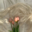 id:luv_smry