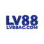 lv8800com