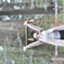 id:m-fujimoto555