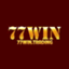 m77wintrading