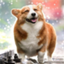 id:m_izu_tani
