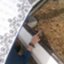 id:mailaddress04