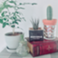 id:mamano-gohobi