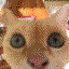 まりぶ