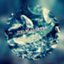 id:maroux