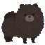 黒ポメ