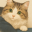 id:masaki610