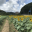 id:mathelmo